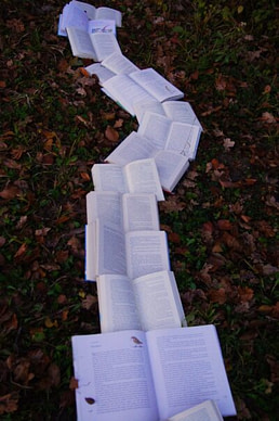 the-books-in-the-forest-stockpack-unsplash.jpg The Books in The Forest